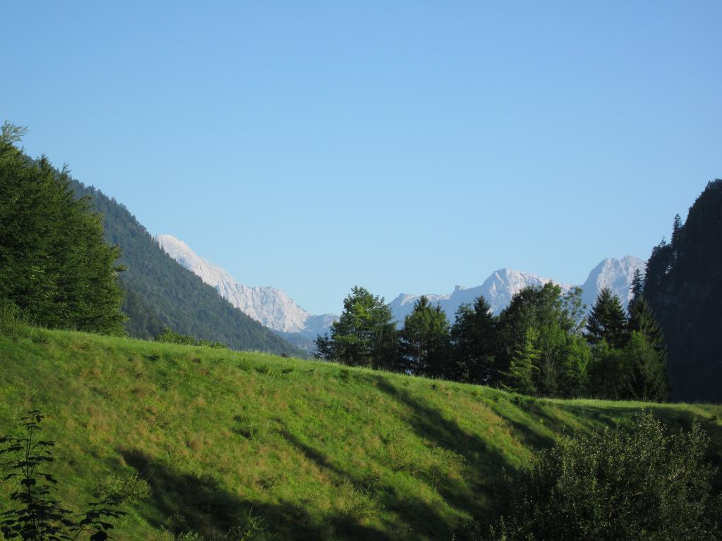 Pension Wanderruh Grünau im Almtal Buitenkant foto